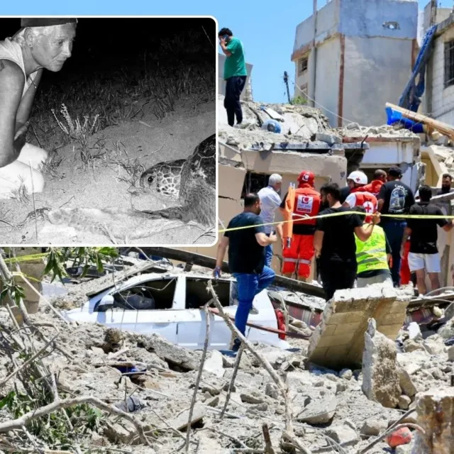 Tragiczna śmierć "matki żółwi". Liban żegna legendarną aktywistkę
