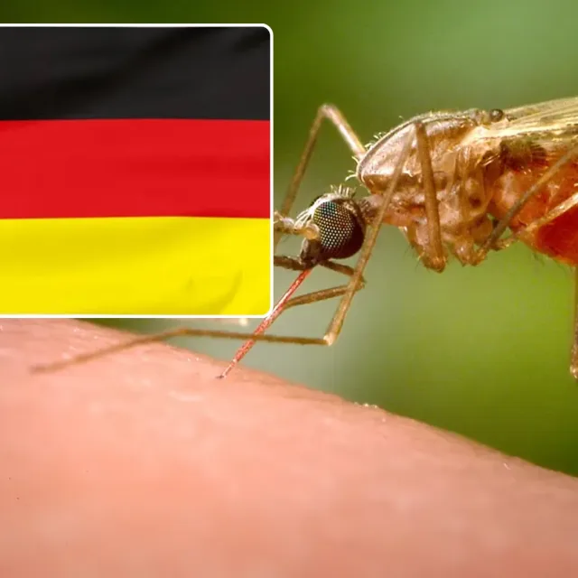Tragiczny bilans na lotnisku we Frankfurcie. Druga ofiara malarii