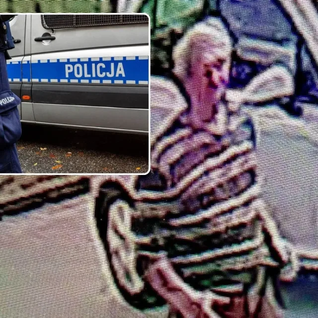 Koniec policyjnej obławy w Borkowie. 65-latek trafił do aresztu