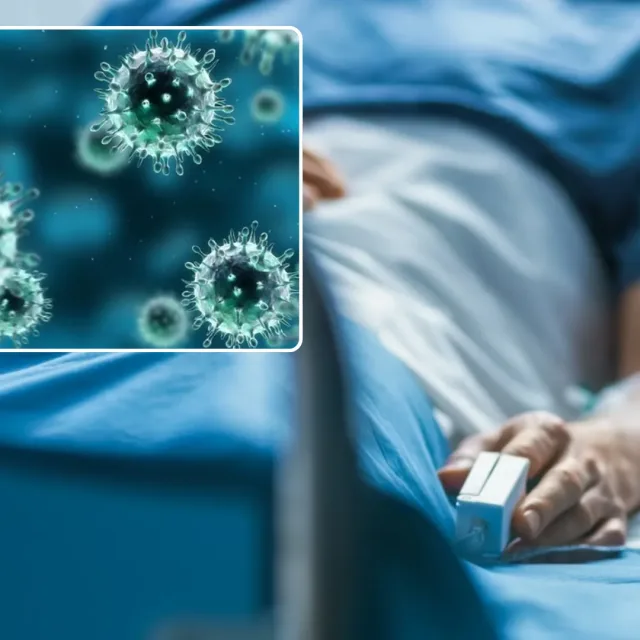 Alarm sanitarny w Europie. Groźne patogeny atakują w popularnych regionach