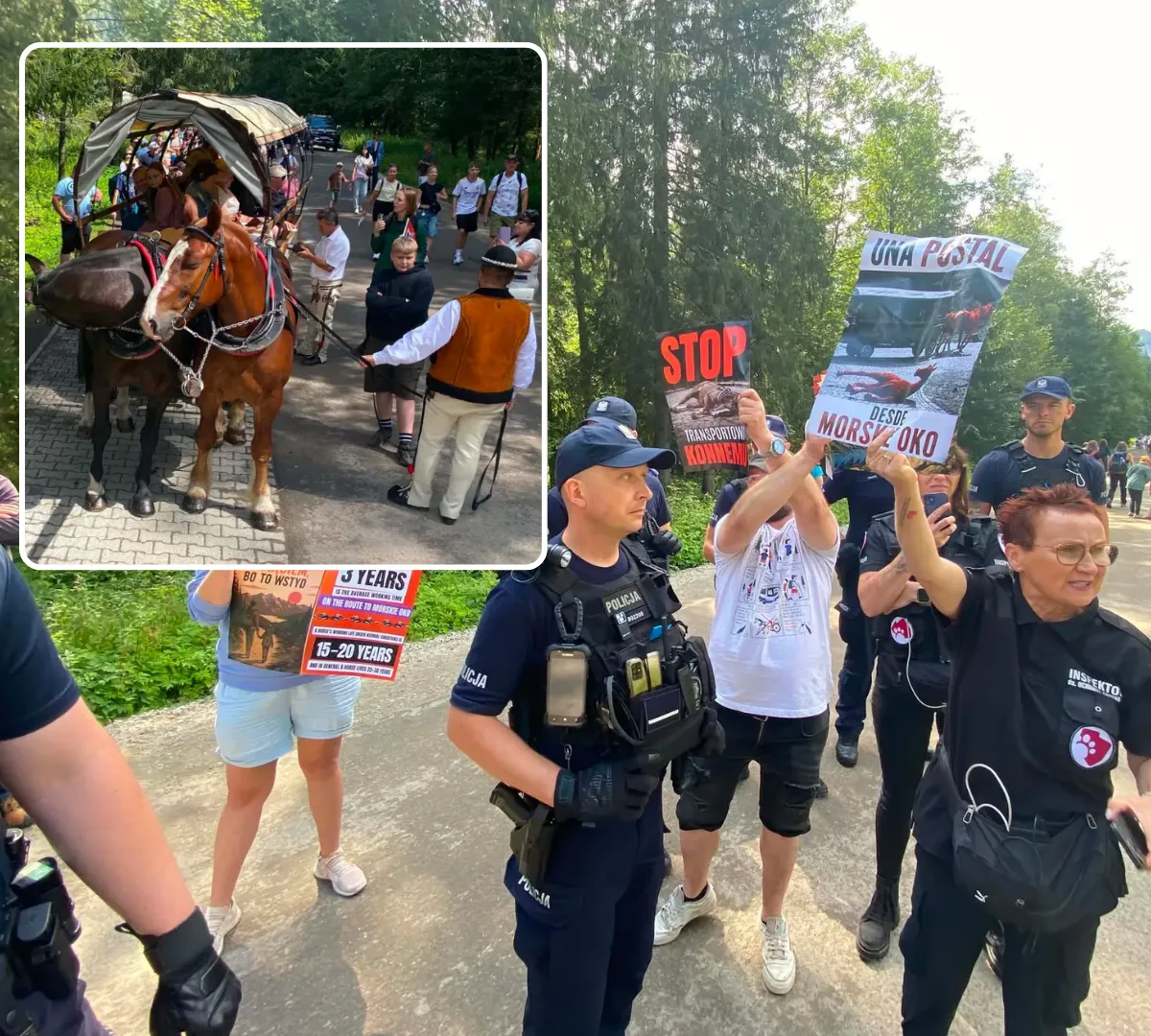 Koniec epoki fasiągów? Gorący protest i interwencja policji w Tatrach