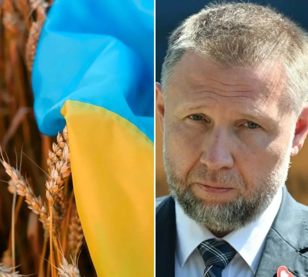 "Krótka pamięć" o ukraińskim zbożu? Kierwiński uderza w Czarnka
