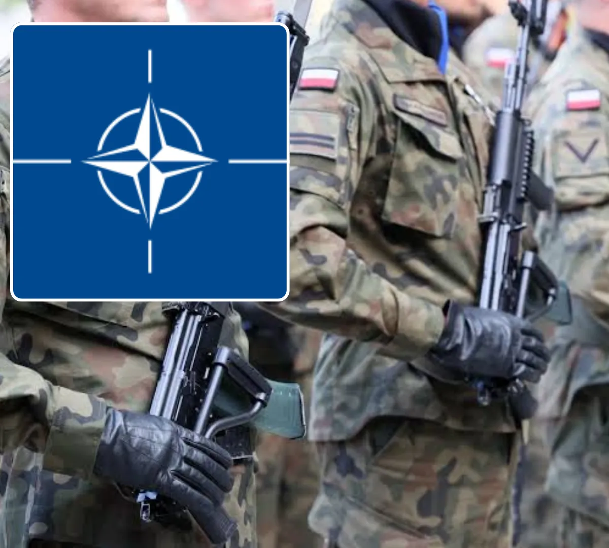 Wizja kryzysu i zaufanie do NATO: Nowe badanie ujawnia obawy Polaków